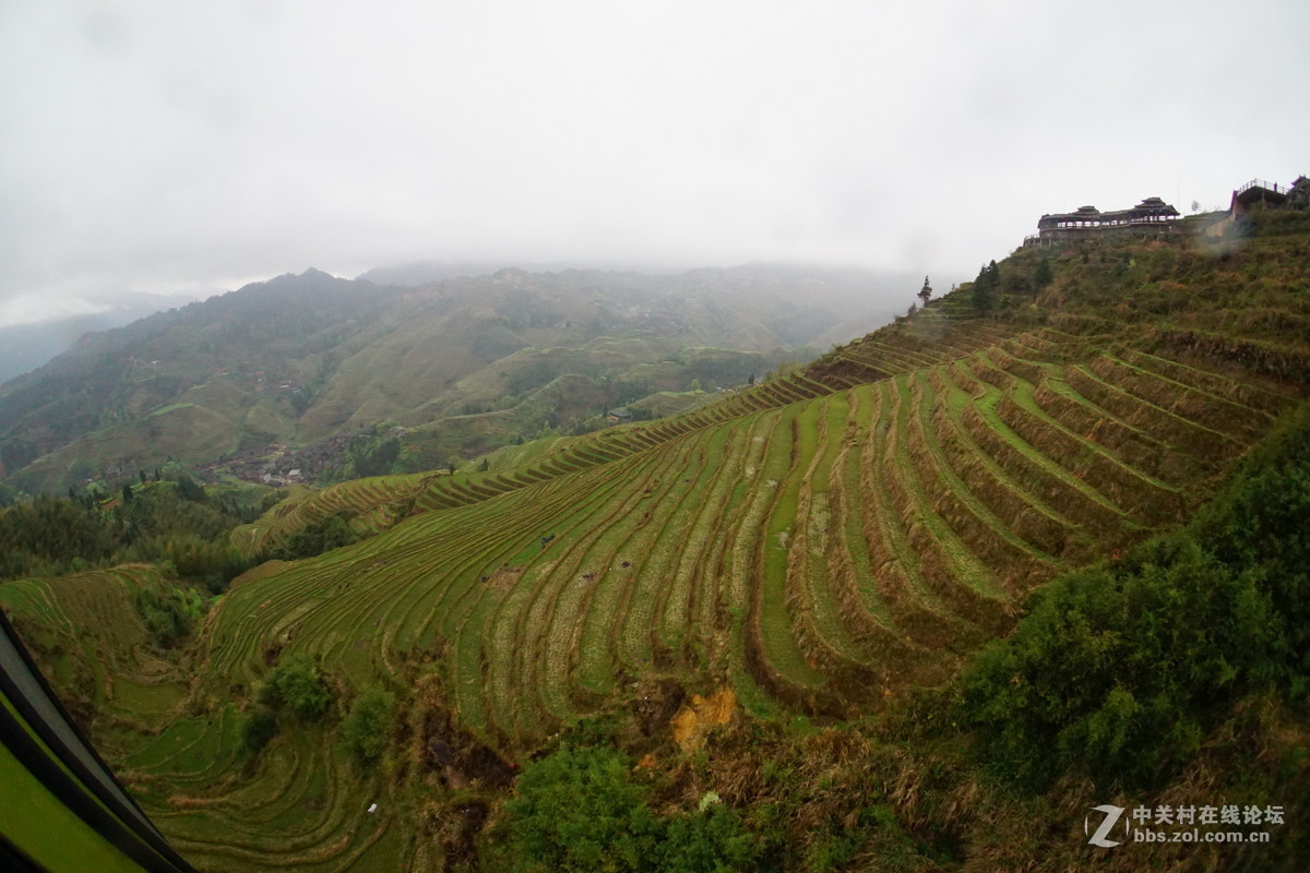 龙脊金坑梯田2