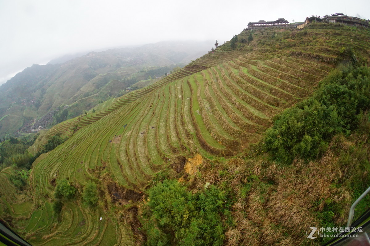 龙脊金坑梯田2