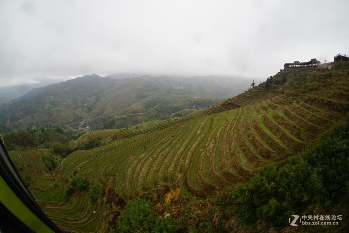 龙脊金坑梯田2