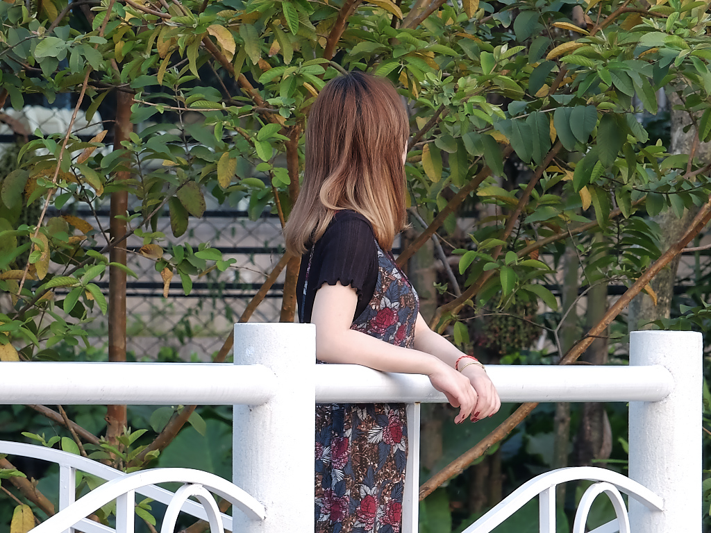 公 园 赠 拍（二十八）