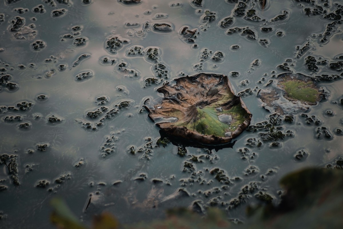 这个冬天有点冷