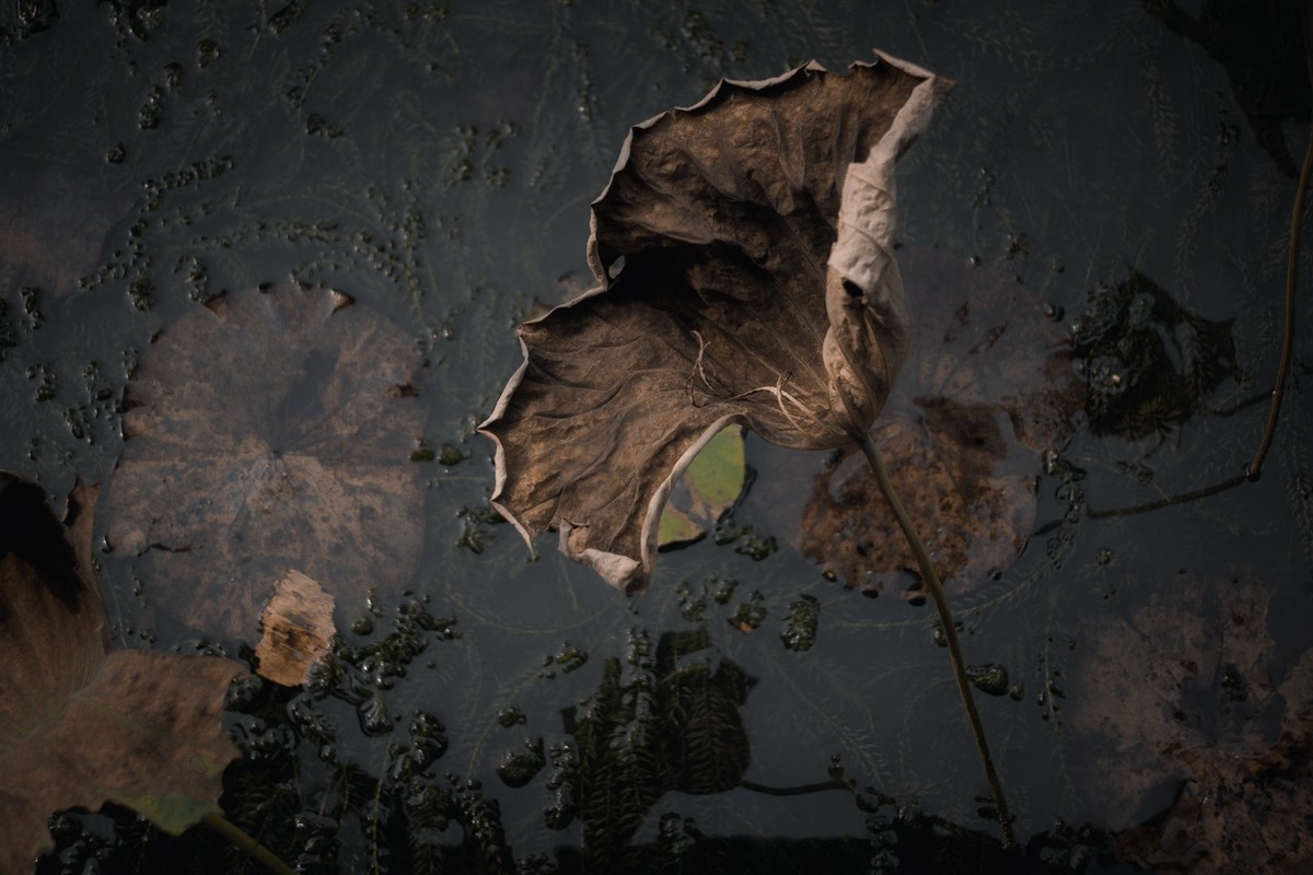 这个冬天有点冷