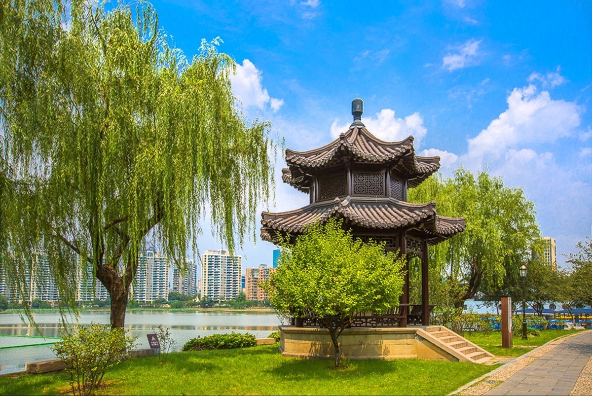 2020-07-10南京莫愁湖公园(三)