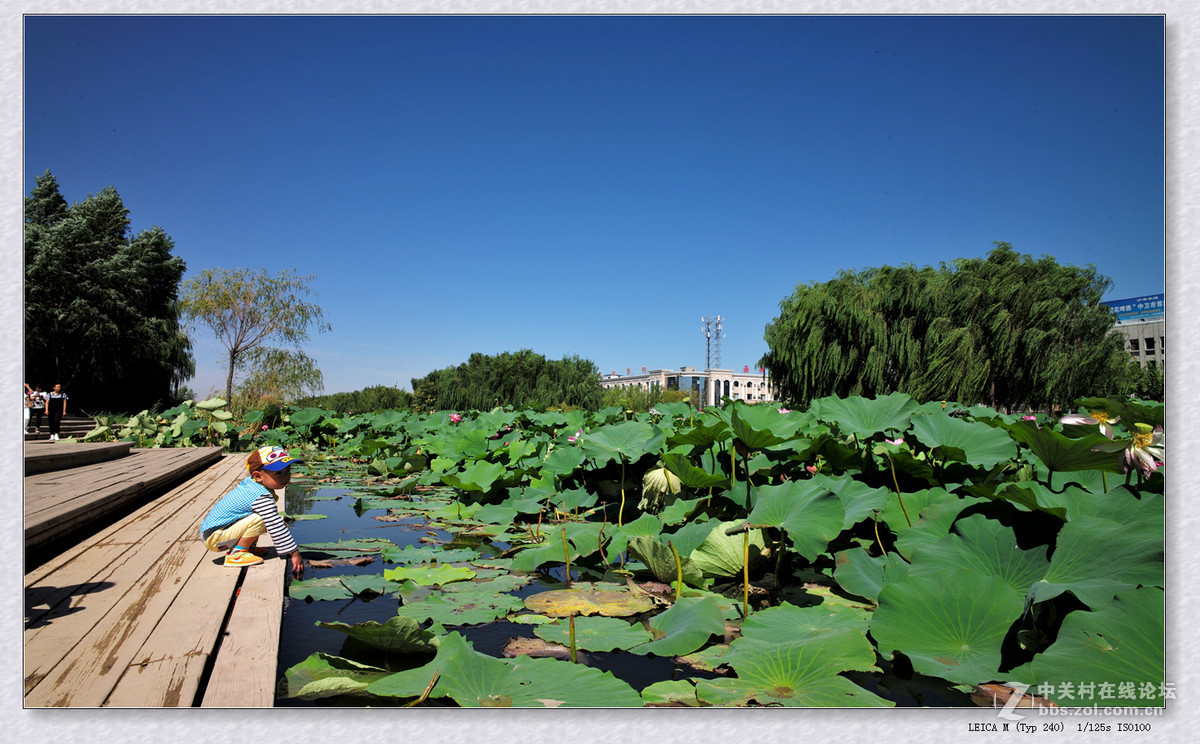记录 【秋日  随拍】