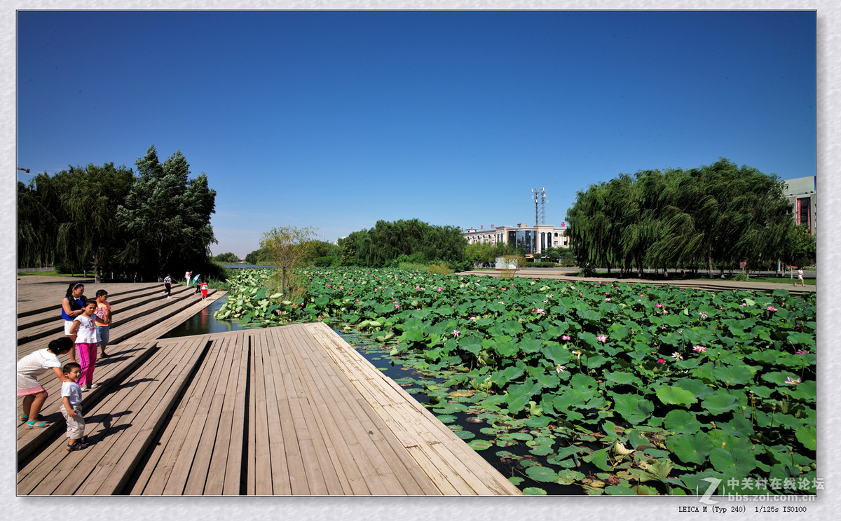 记录 【秋日  随拍】