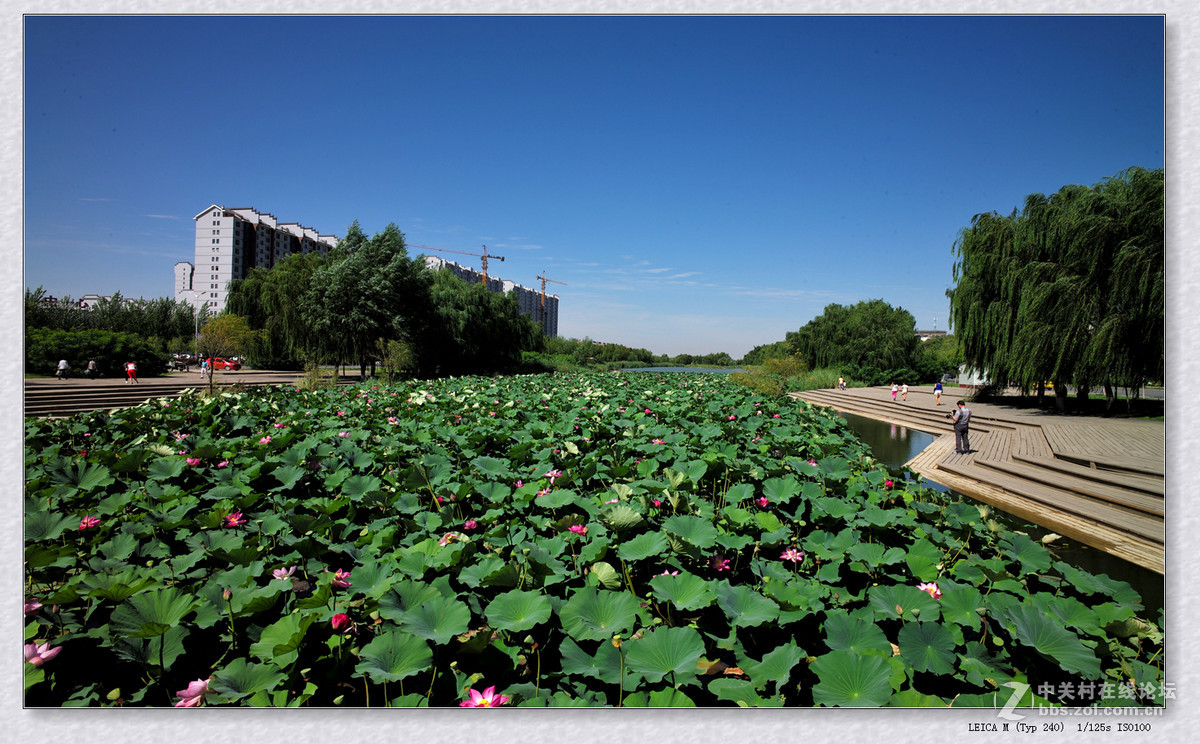 记录 【秋日  随拍】