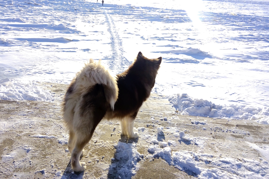 晴空踏雪又一冬