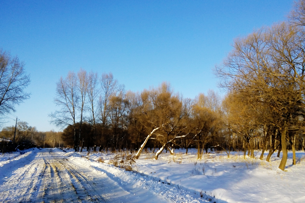 晴空踏雪又一冬