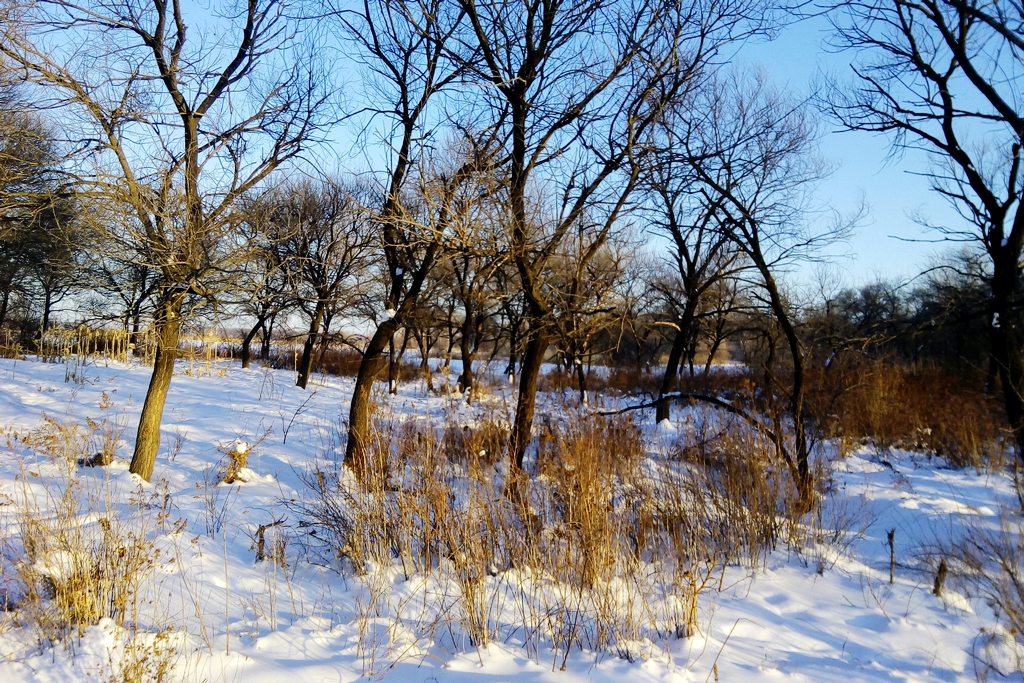晴空踏雪又一冬