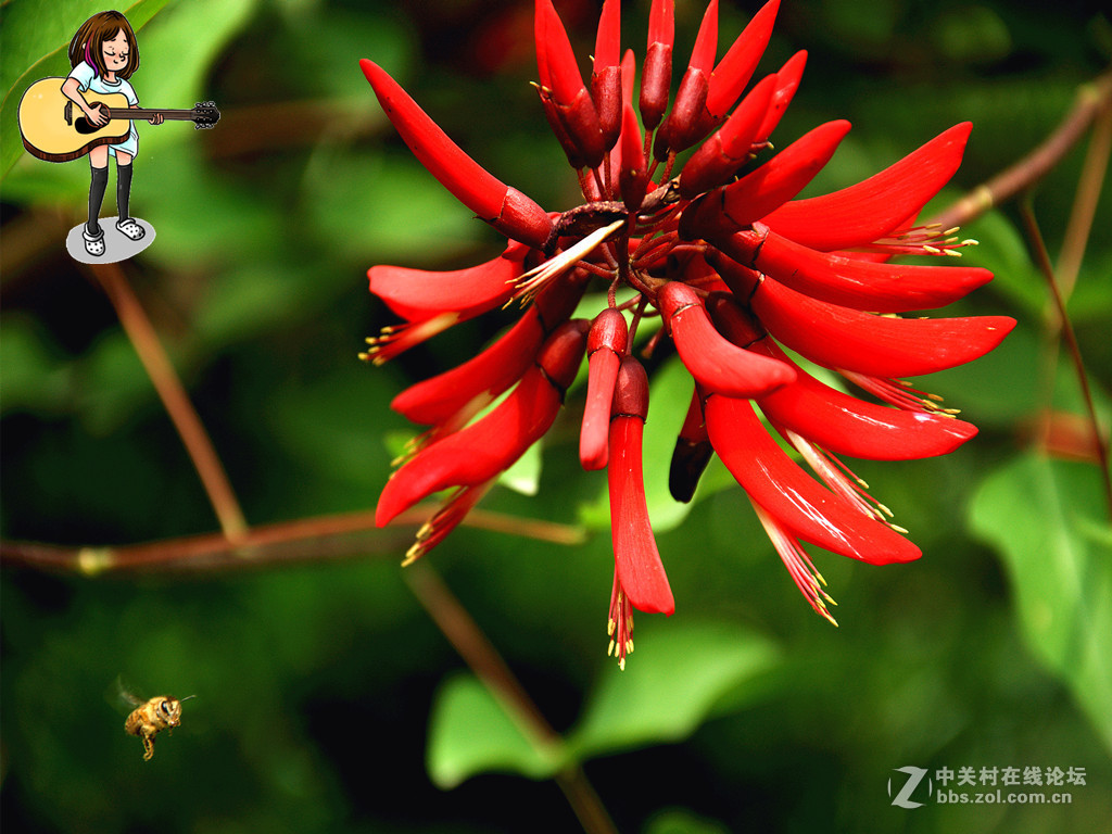 串串小花红艳艳——祝贺小朋友们儿童节快乐！