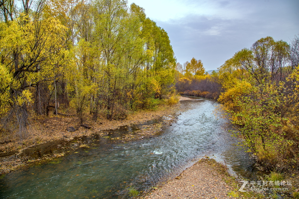 内蒙莫尔道嘎森林