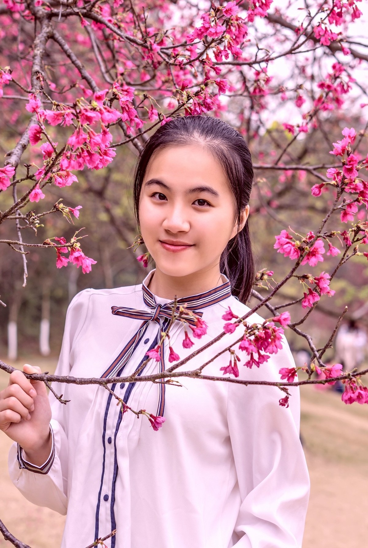 樱花盛开的季节。。。。。。。。。。。。。。。。！