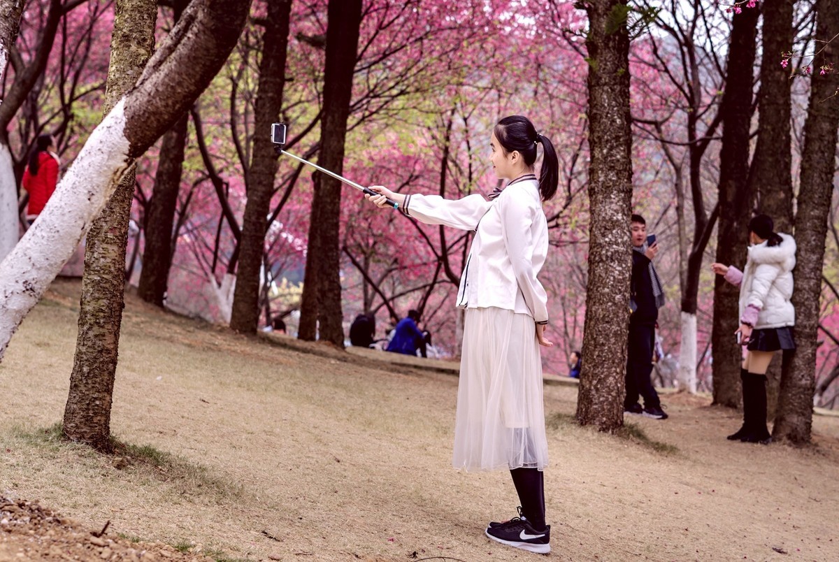 樱花盛开的季节。。。。。。。。。。。。。。。。！