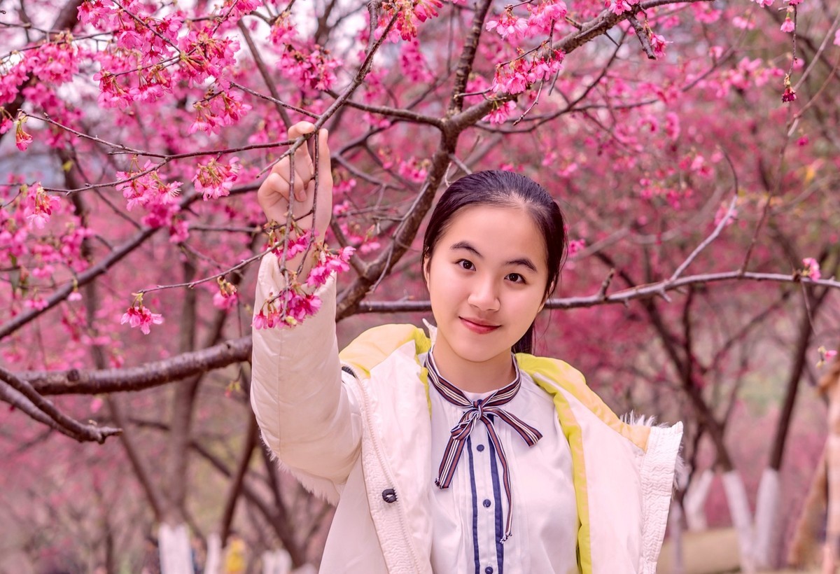 樱花盛开的季节。。。。。。。。。。。。。。。。！