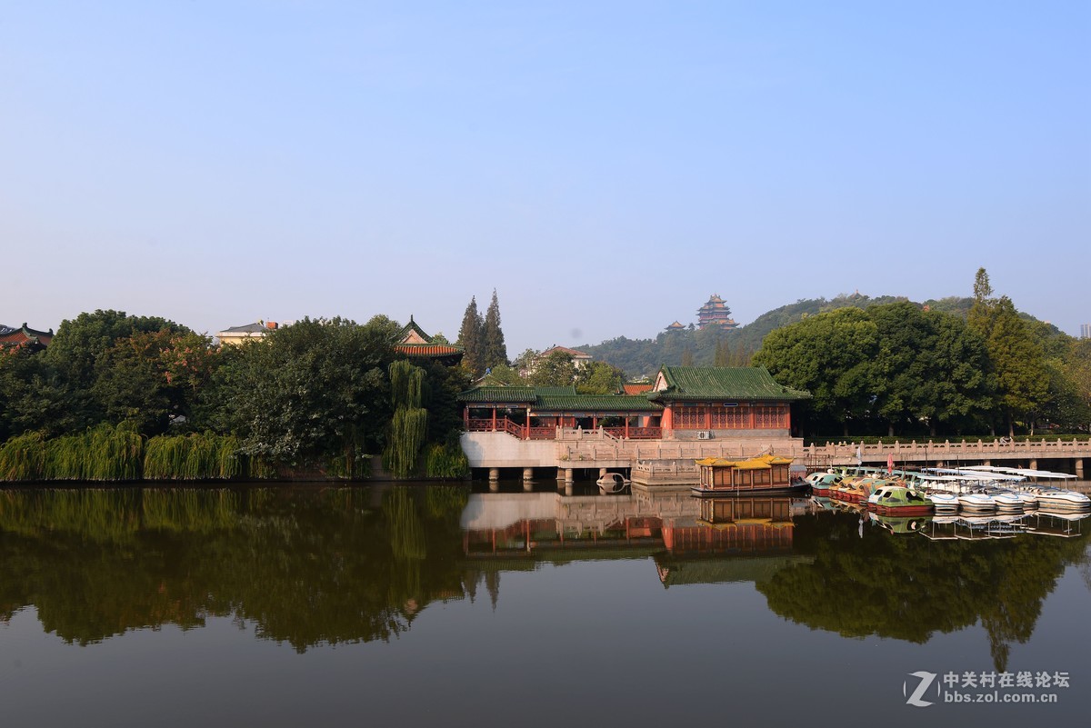 重阳节南京狮子山下“卢龙湖”一组，