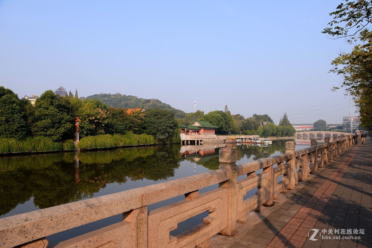 重阳节南京狮子山下“卢龙湖”一组，