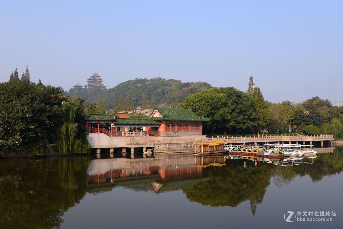 重阳节南京狮子山下“卢龙湖”一组，