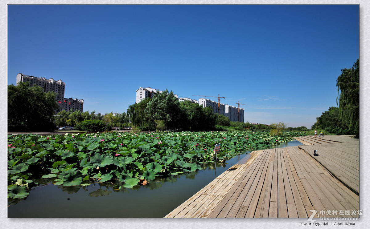 记录 【秋日  随拍】