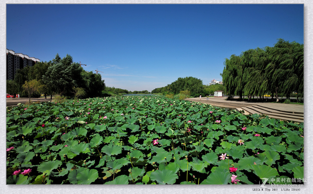 记录 【秋日  随拍】