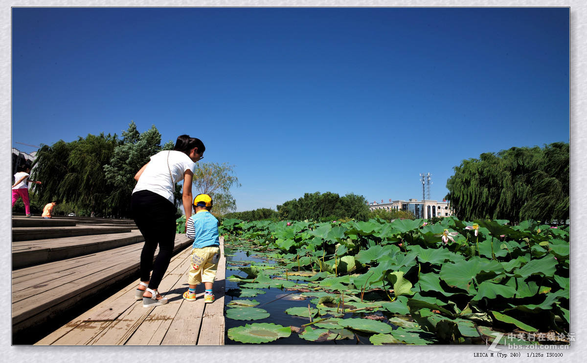记录 【秋日  随拍】