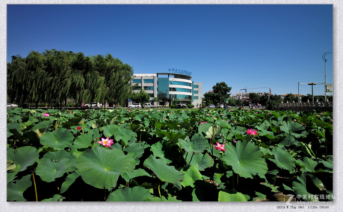 记录 【秋日  随拍】