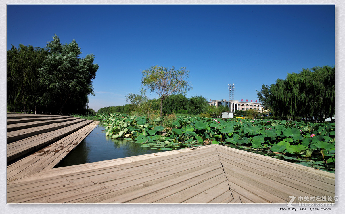 记录 【秋日  随拍】