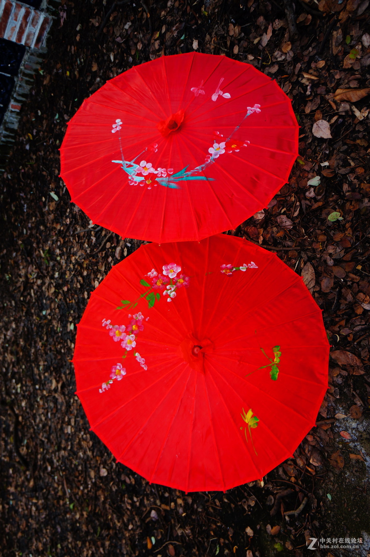 20151117 中大旗袍 回顾