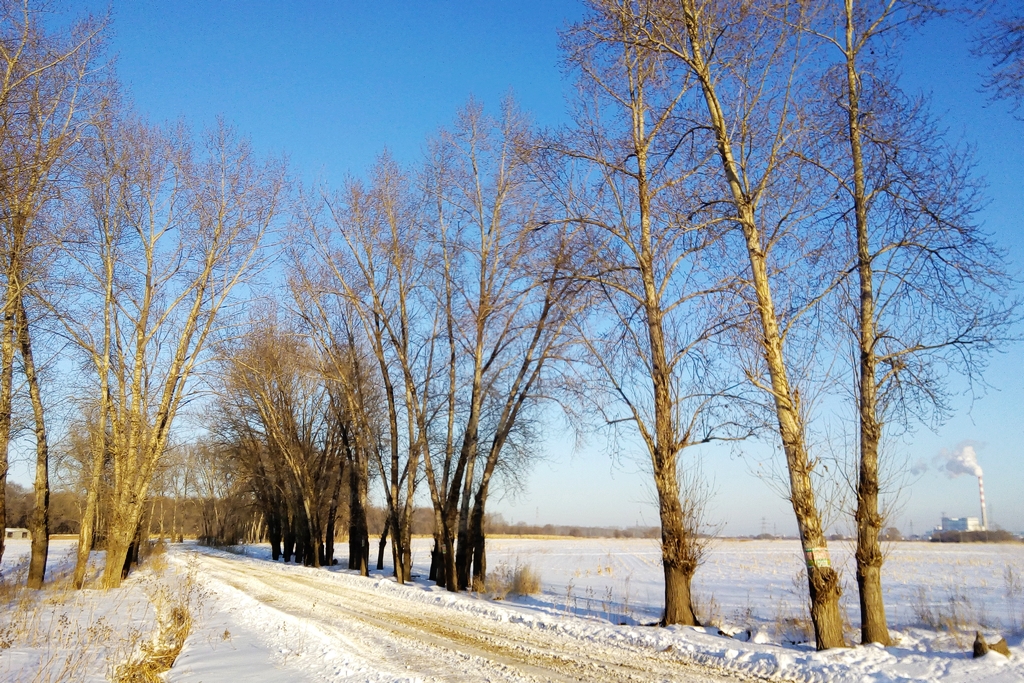 晴空踏雪又一冬