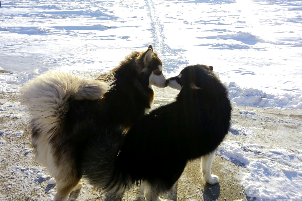 晴空踏雪又一冬