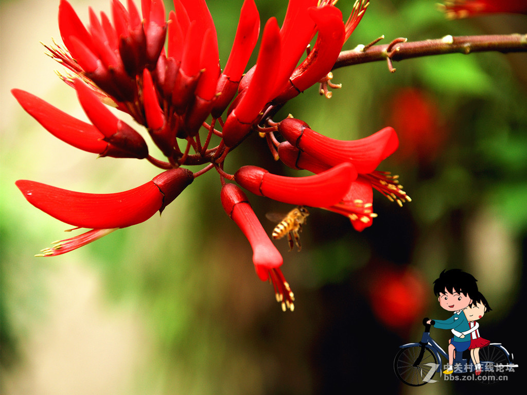 串串小花红艳艳——祝贺小朋友们儿童节快乐！