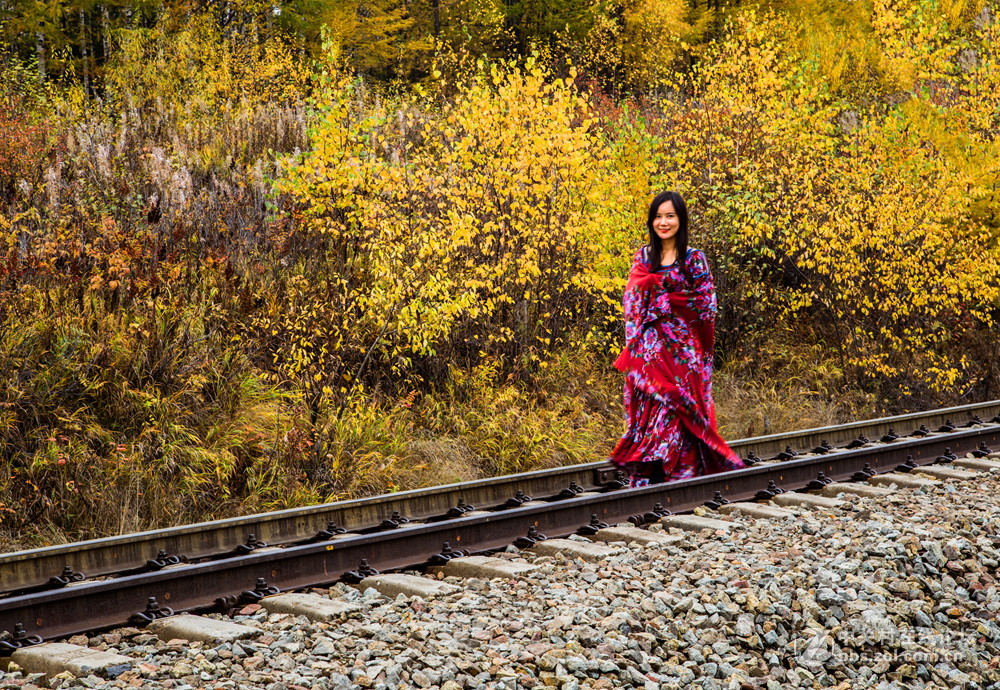 内蒙莫尔道嘎森林