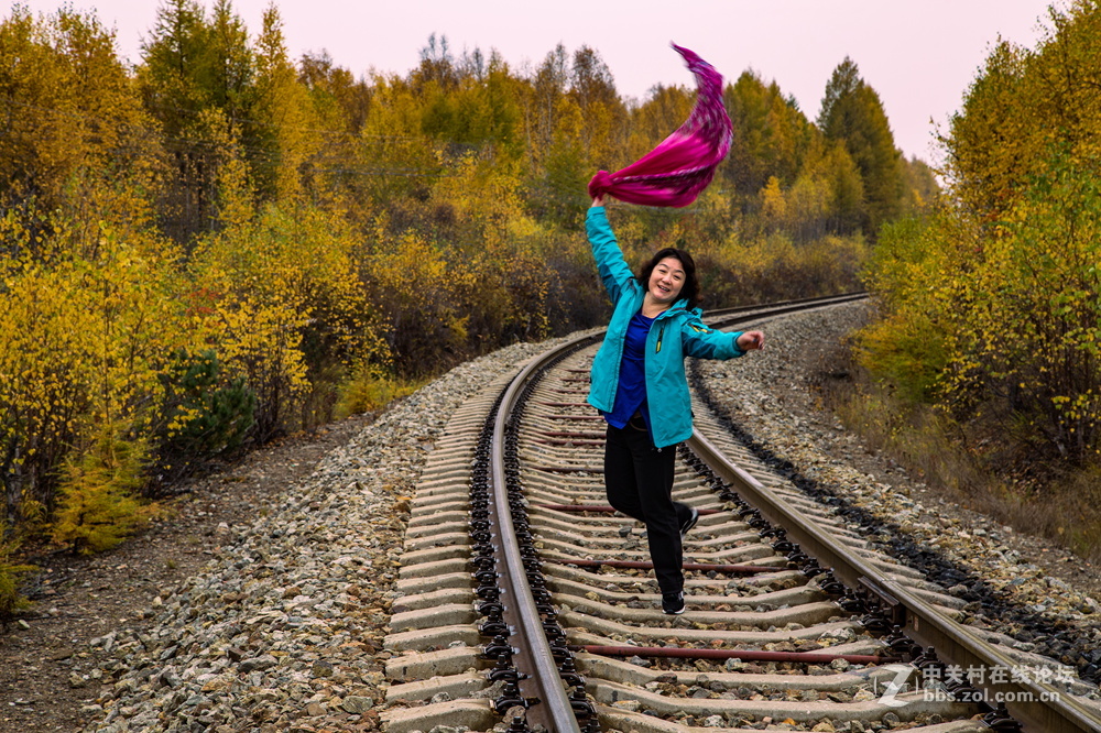 内蒙莫尔道嘎森林