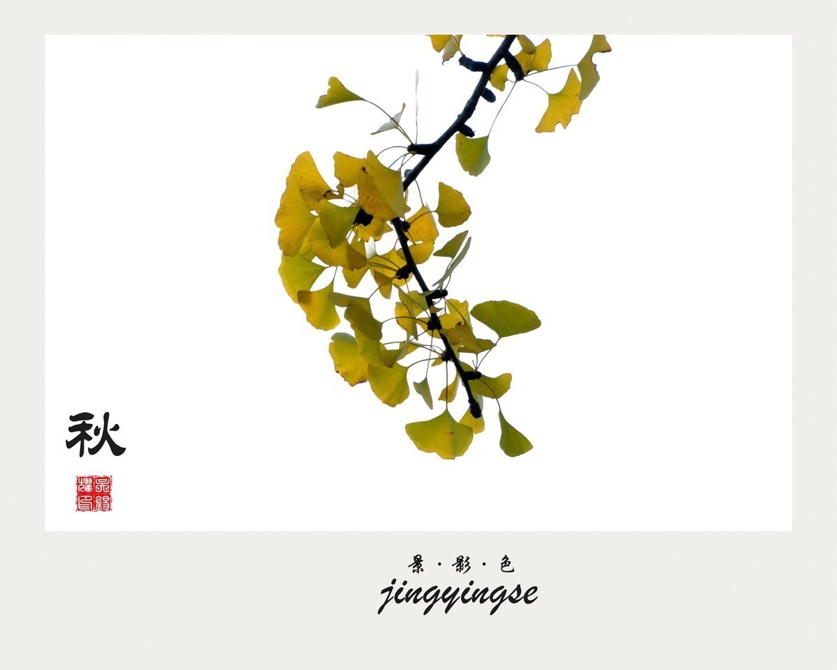 【秋】，消遣之时，整理之作，供分享，求指点，以助提高。谢谢！