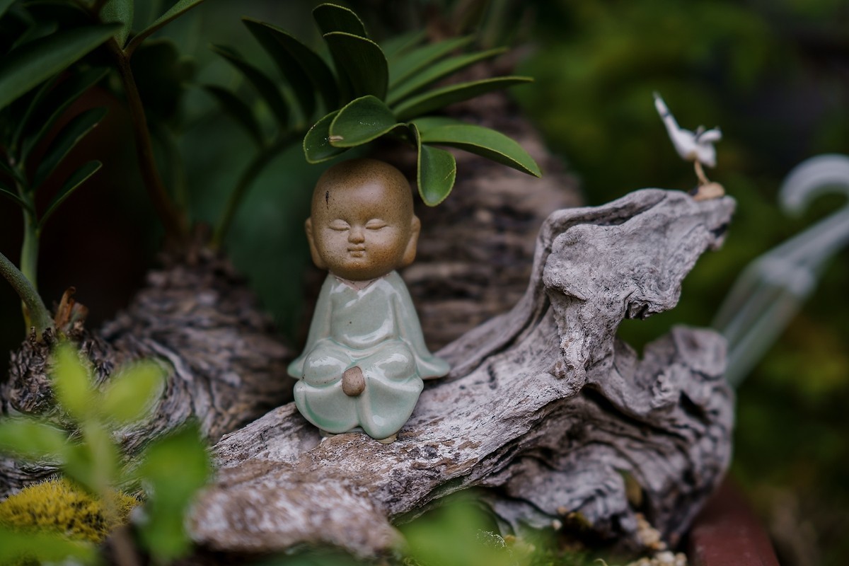 a7m3+FE 85mm f1.4 GM (一组[鲜花) 祝贺好友晚之秋荣任索尼A7Rlll星空(中国)版主