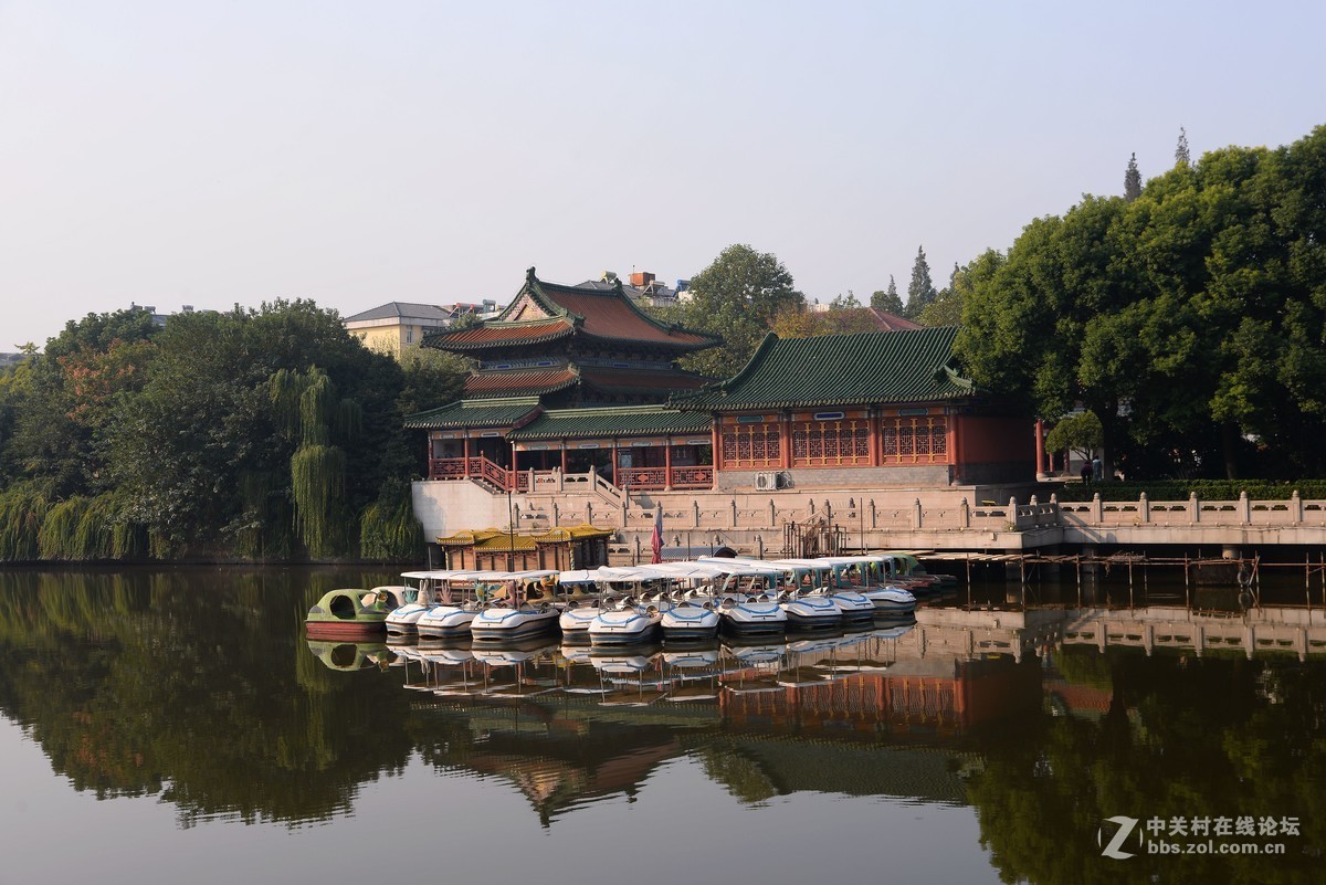 重阳节南京狮子山下“卢龙湖”一组，