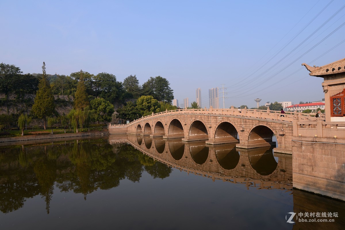 重阳节南京狮子山下“卢龙湖”一组，