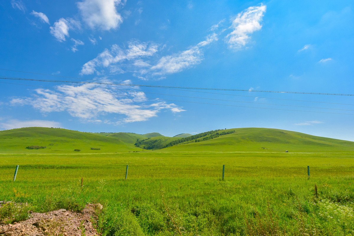 (zol的网页上传烂透顶!)承德塞罕坝乌兰布统避暑行.自驾四日游玩风光赏析2