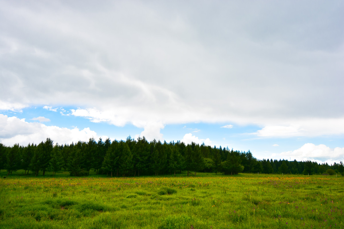 (zol的网页上传烂透顶!)承德塞罕坝乌兰布统避暑行.自驾四日游玩风光赏析2