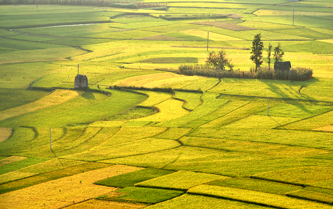 家乡风景之：《金秋、夕阳下的海庄田园》。