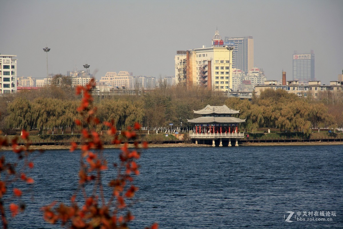 沈阳今日浑河景------2015.11.17日 长白岛森林公园浑河南岸的拍摄习作分享