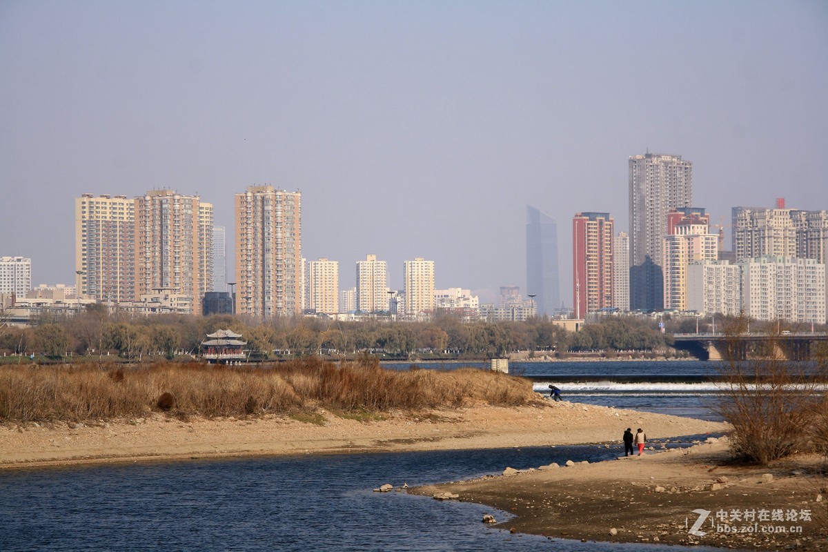 沈阳今日浑河景------2015.11.17日 长白岛森林公园浑河南岸的拍摄习作分享
