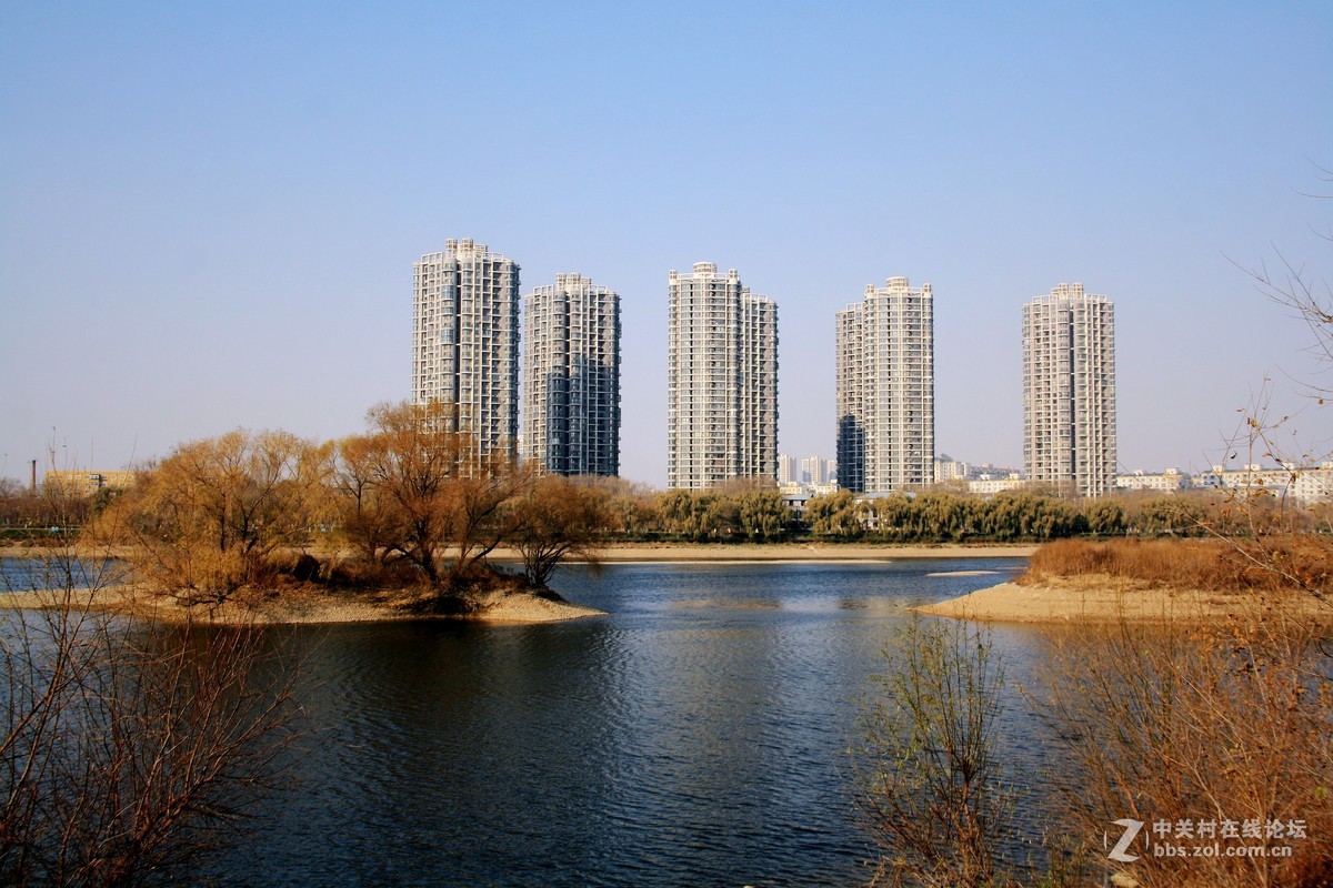 沈阳今日浑河景------2015.11.17日 长白岛森林公园浑河南岸的拍摄习作分享