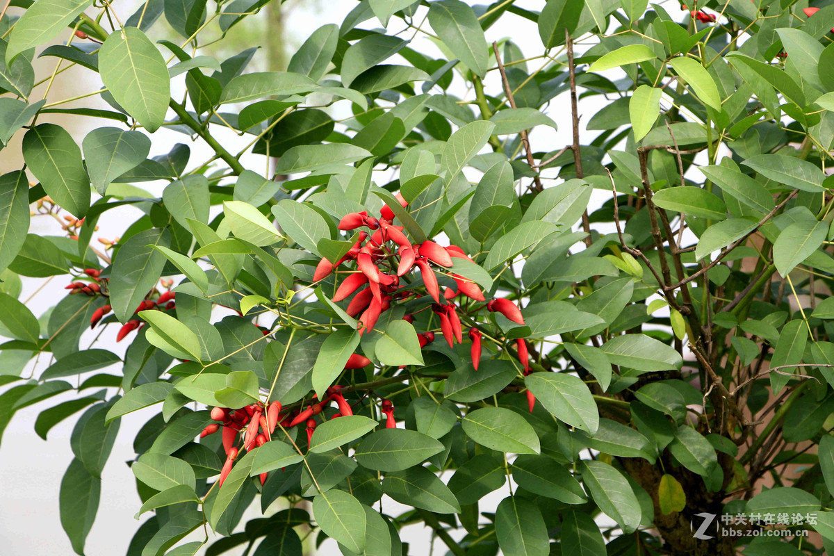 五一随拍 （一）