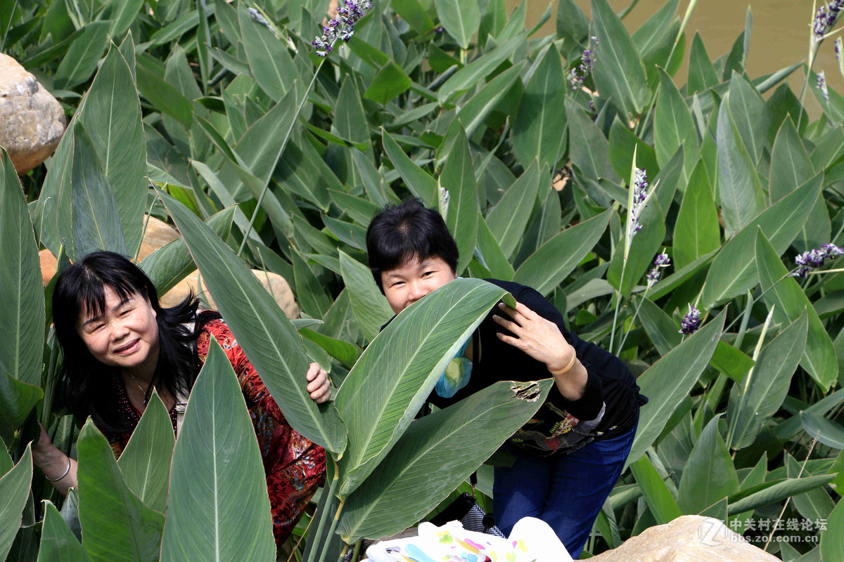 五一随拍 （一）