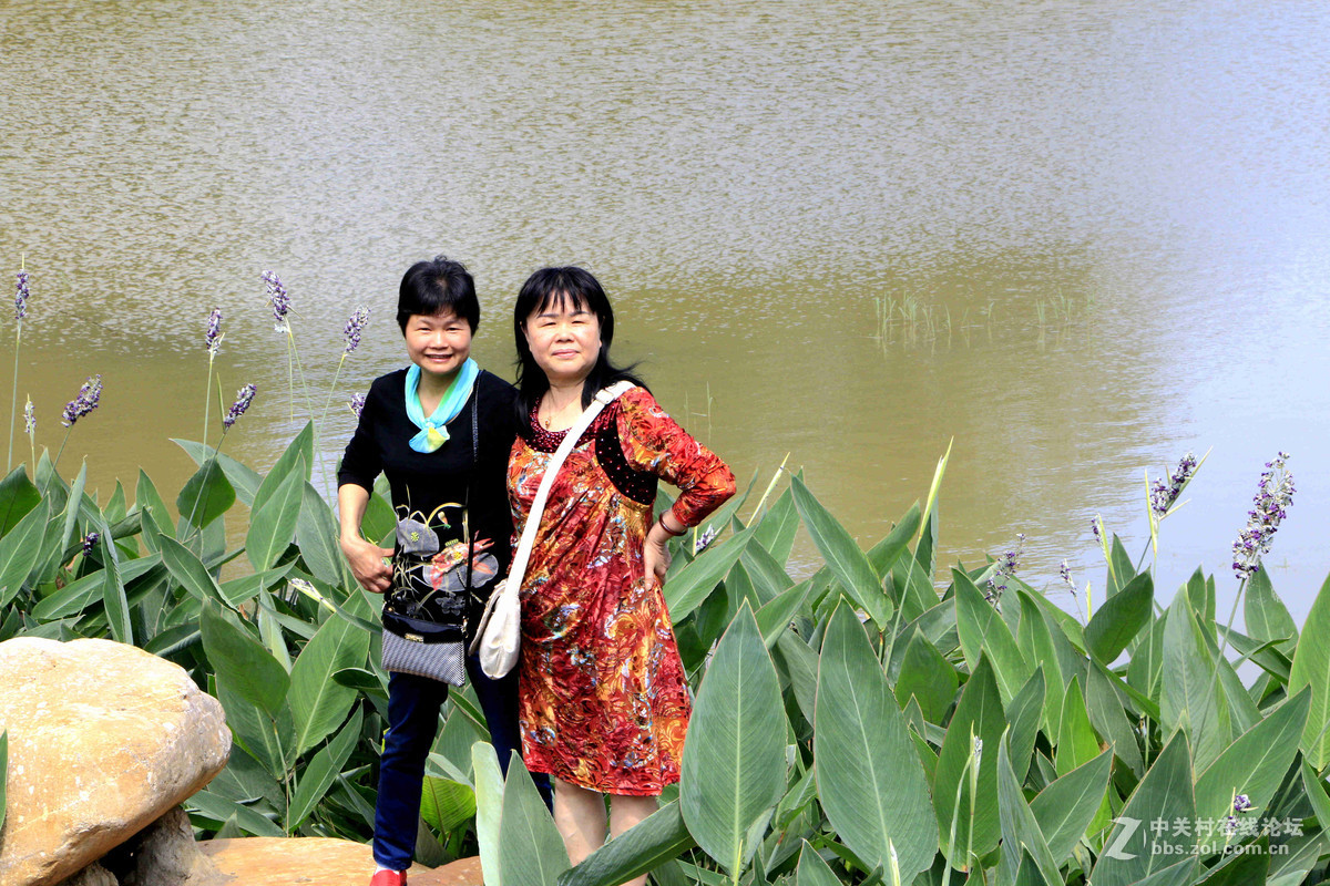 五一随拍 （一）