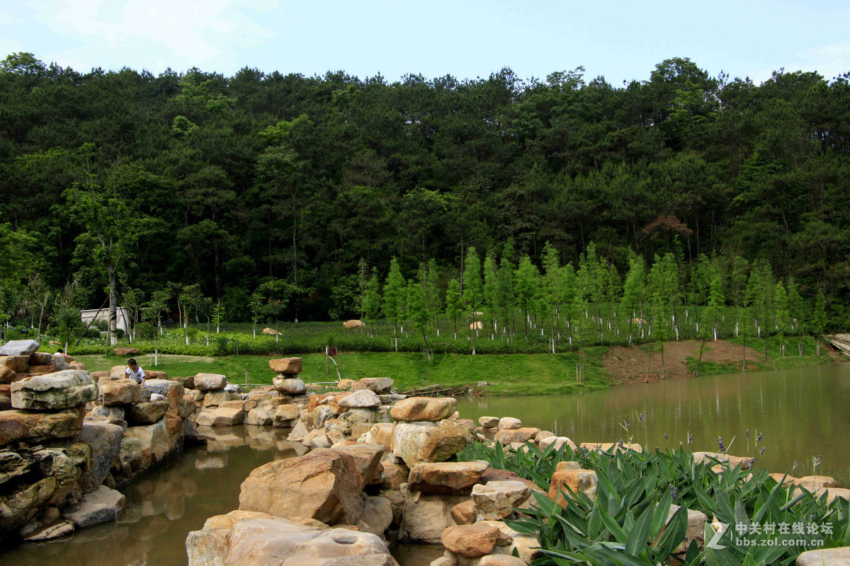 五一随拍（二）