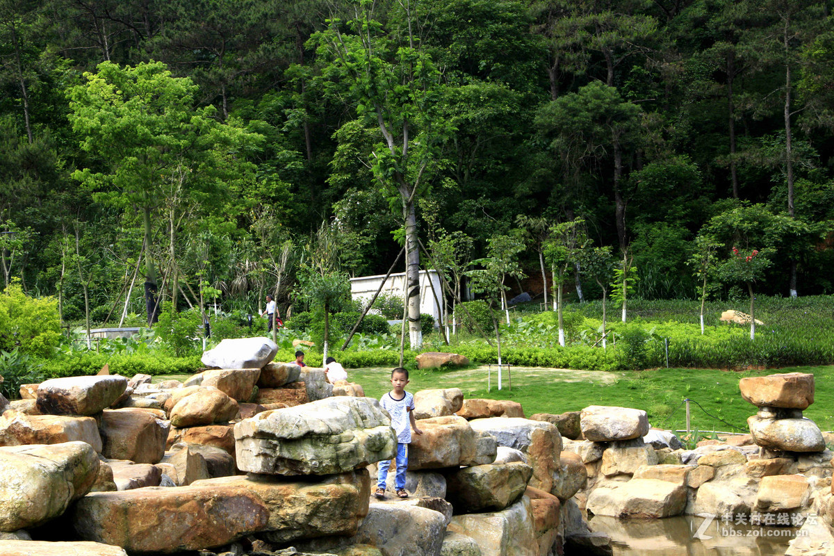 五一随拍（二）