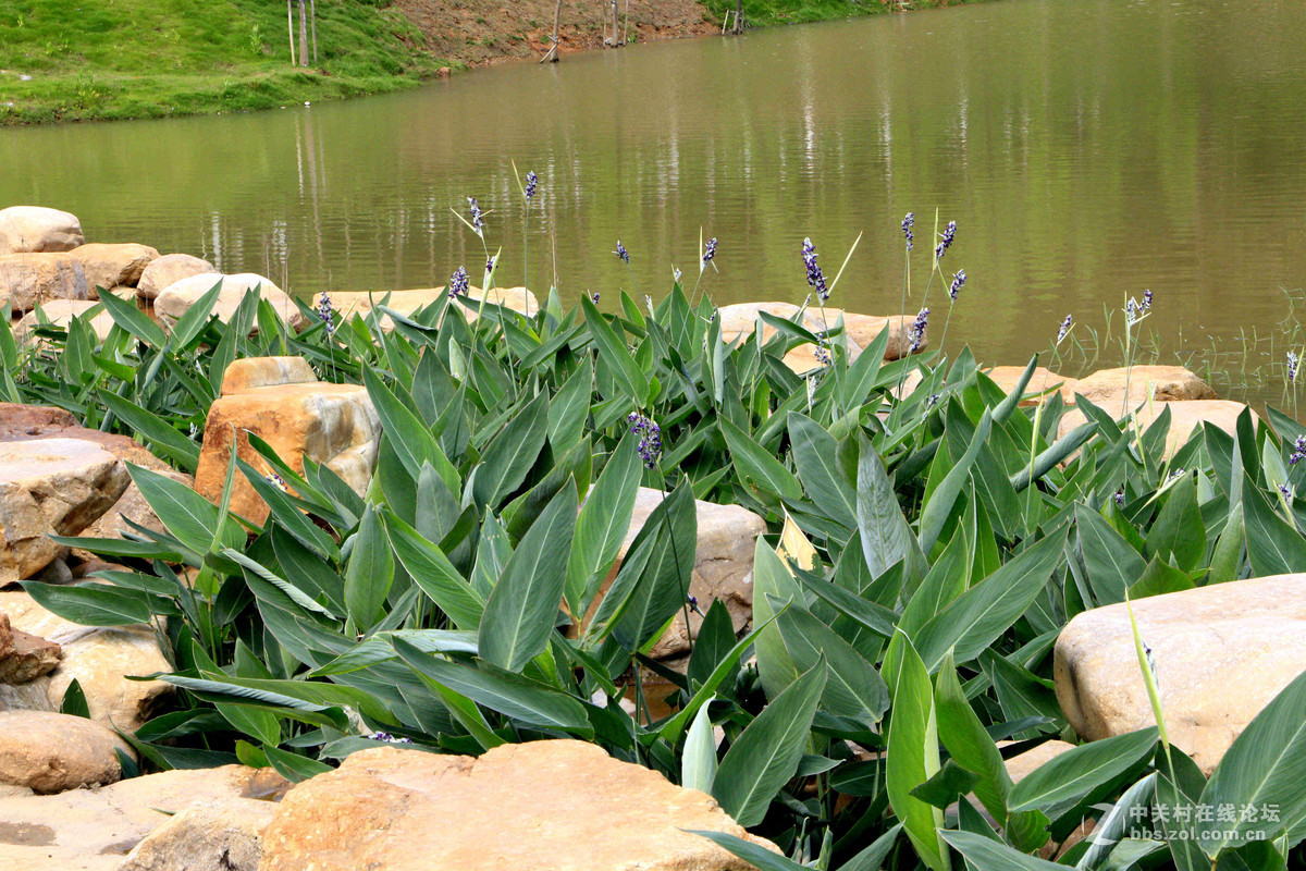 五一随拍 （一）