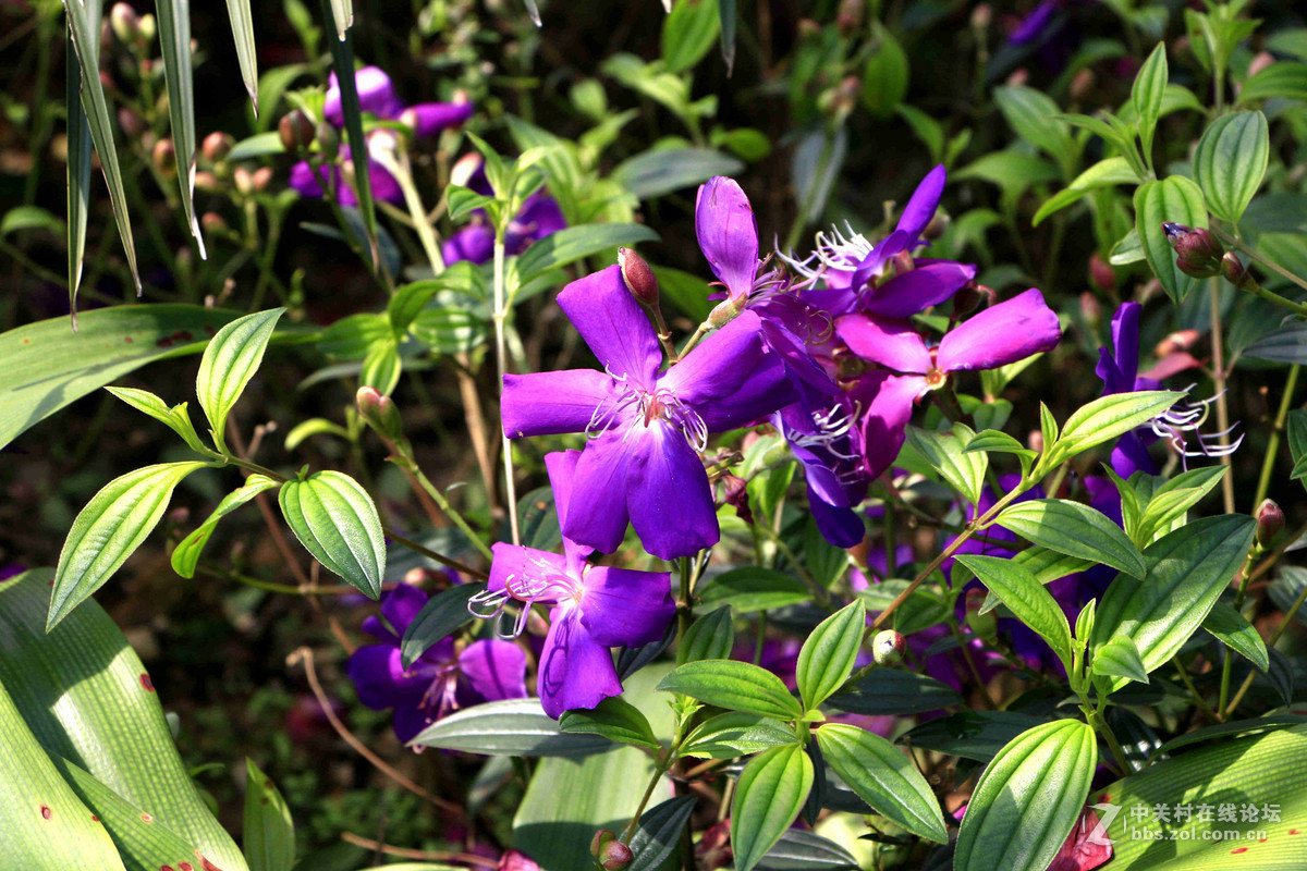 五一随拍（二）