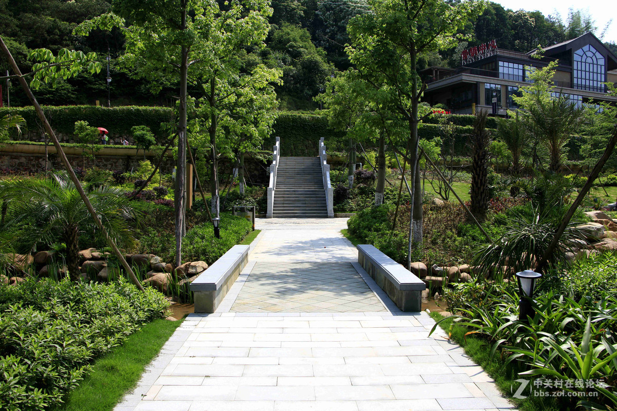 五一随拍（二）